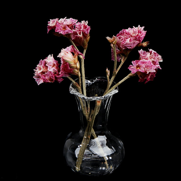 1:12 Dollhouse Miniature flowerpot jarrón Glass Basin DIY Furniture Toys bod m4